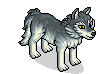 Räuberischer Wolf