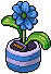 Ultramarinblaues Gänseblümchen