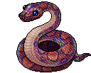 Regenbogen-Boa