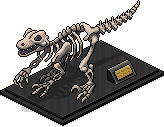 Velociraptor-Skelett