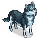 Abgerichteter Husky