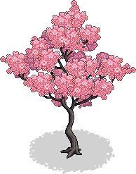 Sakura Jahreszeiten-Baum