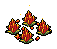 Feuersamen
