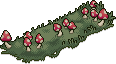Pilzbeet