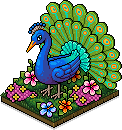Strahlender Pfau