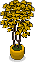 Goldene Hauspflanze