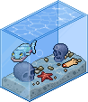 Piranha Aquarium
