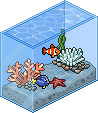 Tropisches Fisch Aquarium