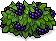 Brombeerbusch