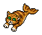 Katzenfisch