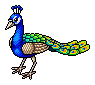 Pfau