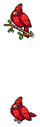 Kardinal